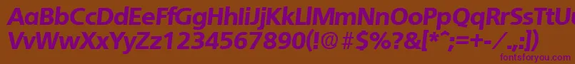 QuebecExtraboldita-fontti – violetit fontit ruskealla taustalla