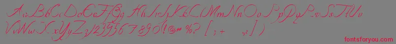 Подробнее о шрифте TipografiaNuevaCursivass Шрифт TipografiaNuevaCursivass – красные шрифты на сером фоне