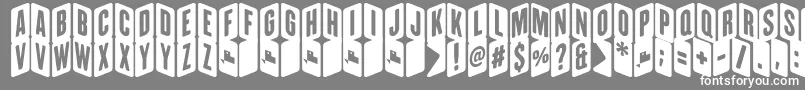 ZigzageoRegFfp Font – White Fonts on Gray Background