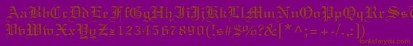 LighttextRegular Font – Brown Fonts on Purple Background