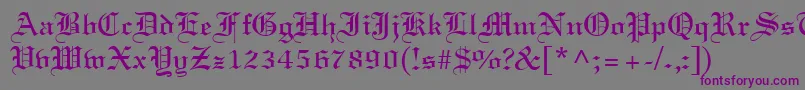 LighttextRegular Font – Purple Fonts on Gray Background
