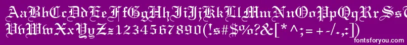 フォントLighttextRegular – 紫の背景に白い文字