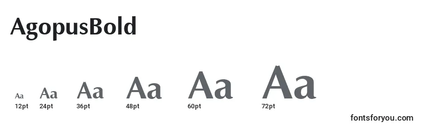 Размеры шрифта AgopusBold