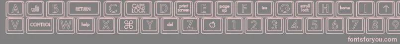 KeyboardKeyshoHollow Font – Pink Fonts on Gray Background