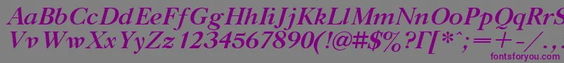 More about TitleBoldItalic Font TitleBoldItalic Font – Purple Fonts on Gray Background