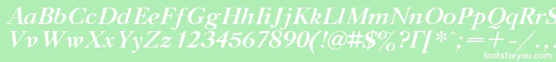 TitleBoldItalic Font – White Fonts on Green Background