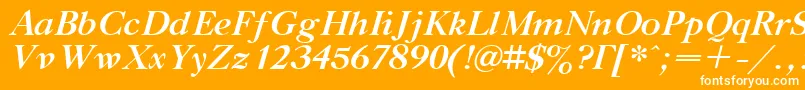 TitleBoldItalic Font – White Fonts on Orange Background