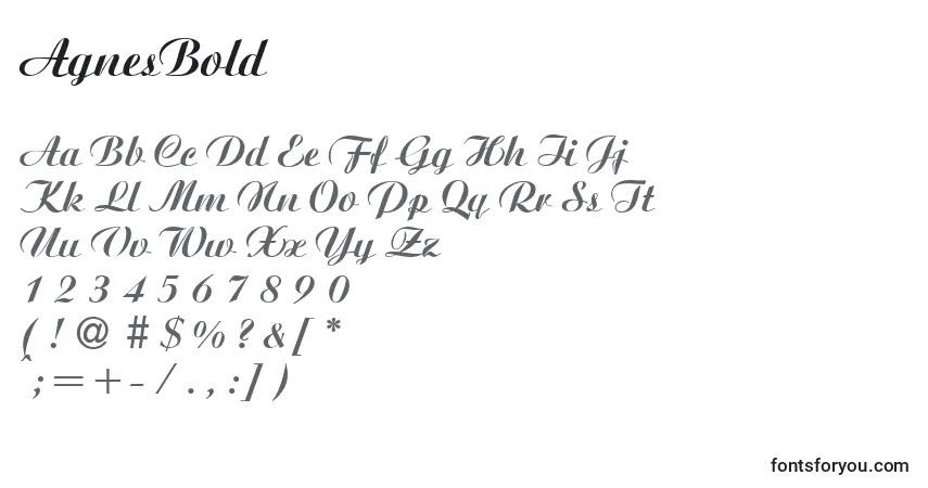 Schriftart AgnesBold – Alphabet, Zahlen, spezielle Symbole