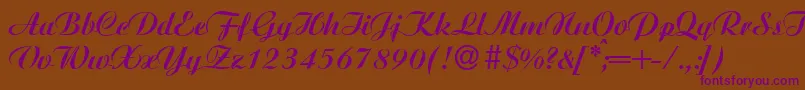 AgnesBold Font – Purple Fonts on Brown Background