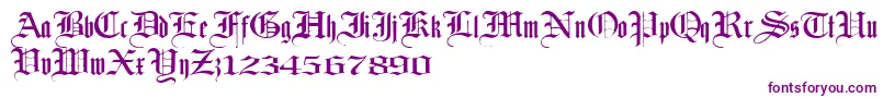 Laandbrau Font – Purple Fonts on White Background