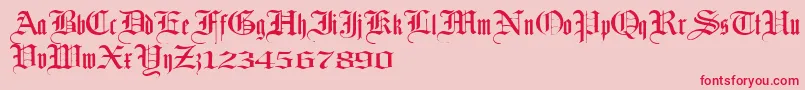 Laandbrau Font – Red Fonts on Pink Background