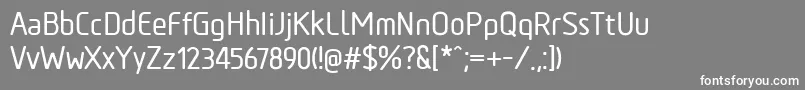 TadaoMedium Font – White Fonts on Gray Background