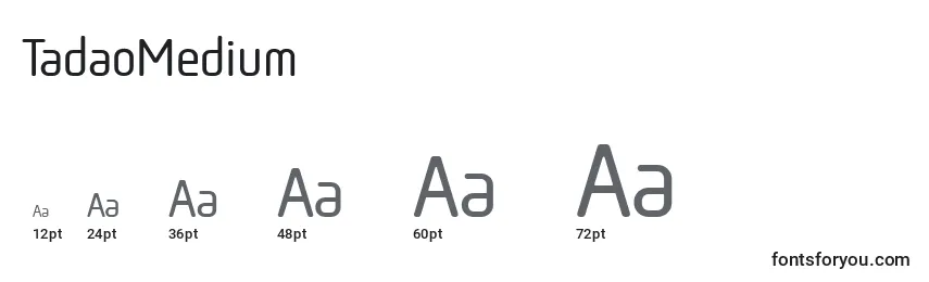 Размеры шрифта TadaoMedium