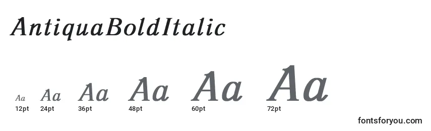 Größen der Schriftart AntiquaBoldItalic