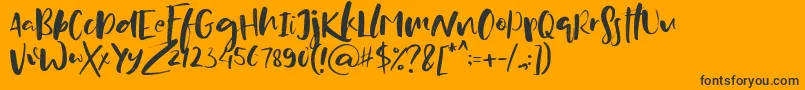 ZeitgeistRegulardemo Font – Black Fonts on Orange Background
