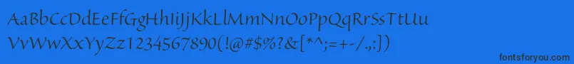 SanvitoproDisp-Schriftart – Schwarze Schriften auf blauem Hintergrund