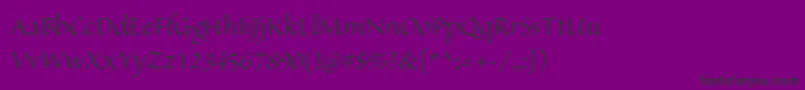 Czcionka SanvitoproDisp – czarne czcionki na fioletowym tle