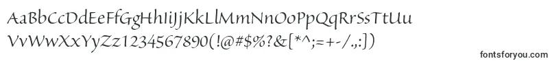 Шрифт SanvitoproDisp – шрифты, начинающиеся на S