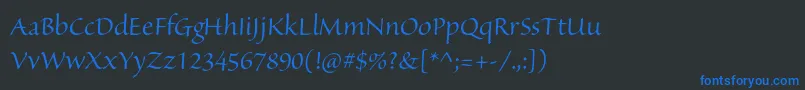 フォントSanvitoproDisp – 黒い背景に青い文字