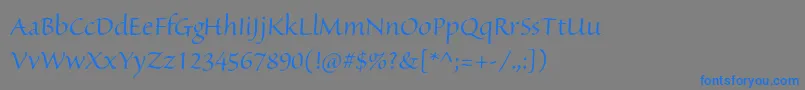 Czcionka SanvitoproDisp – niebieskie czcionki na szarym tle