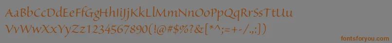 Шрифт SanvitoproDisp – коричневые шрифты на сером фоне