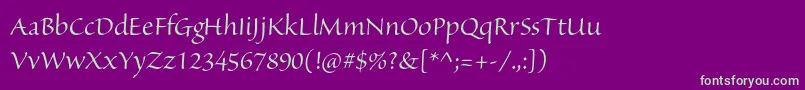 SanvitoproDisp Font – Green Fonts on Purple Background
