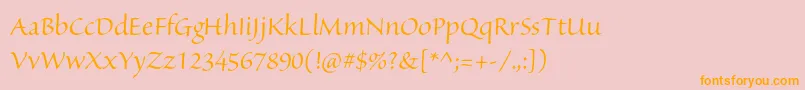 SanvitoproDisp Font – Orange Fonts on Pink Background