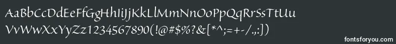 Шрифт SanvitoproDisp – белые шрифты на чёрном фоне