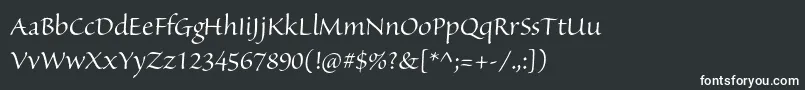 フォントSanvitoproDisp – 黒い背景に白い文字