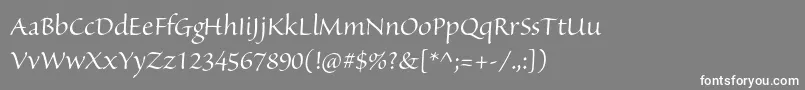 フォントSanvitoproDisp – 灰色の背景に白い文字