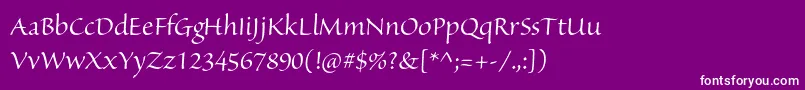 フォントSanvitoproDisp – 紫の背景に白い文字