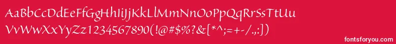 SanvitoproDisp Font – White Fonts on Red Background
