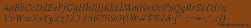 ElysiumBookItalicPlain Font – Black Fonts on Brown Background