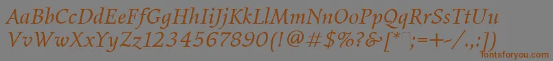 ElysiumBookItalicPlain Font – Brown Fonts on Gray Background