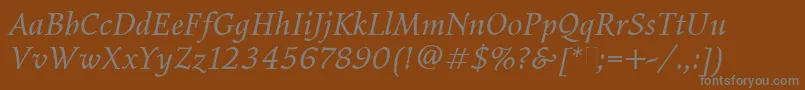 フォントElysiumBookItalicPlain – 茶色の背景に灰色の文字