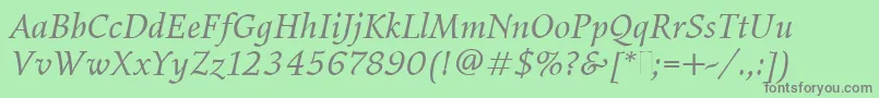 ElysiumBookItalicPlain Font – Gray Fonts on Green Background