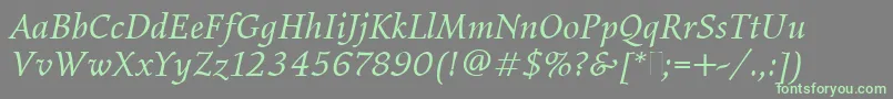 ElysiumBookItalicPlain Font – Green Fonts on Gray Background