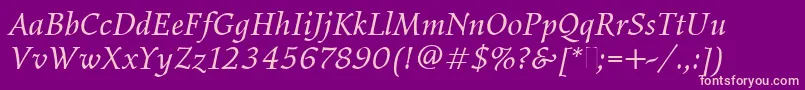 ElysiumBookItalicPlain Font – Pink Fonts on Purple Background