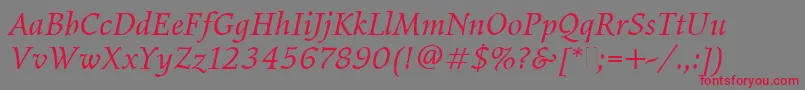フォントElysiumBookItalicPlain – 赤い文字の灰色の背景