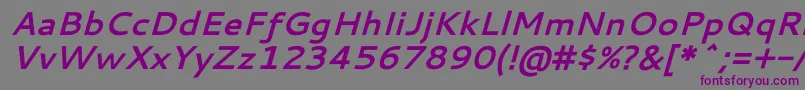 CantarellBoldOblique Font – Purple Fonts on Gray Background
