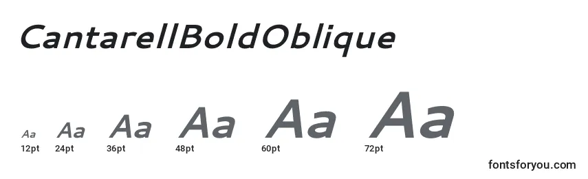 Размеры шрифта CantarellBoldOblique