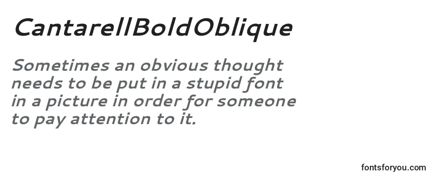 Review of the CantarellBoldOblique Font
