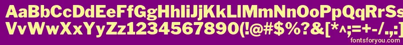 LibrefranklinBlack Font – Yellow Fonts on Purple Background