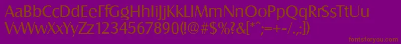 SalzburgserialRegular Font – Brown Fonts on Purple Background