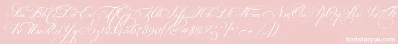 MariaAntuanetta-Schriftart – Weiße Schriften auf rosa Hintergrund