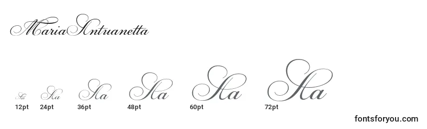 Размеры шрифта MariaAntuanetta