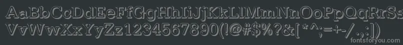 Police TypewritershRegular – polices grises sur fond noir