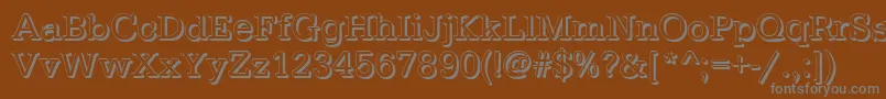 TypewritershRegular Font – Gray Fonts on Brown Background