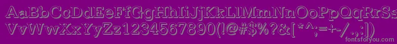 TypewritershRegular-Schriftart – Graue Schriften auf violettem Hintergrund