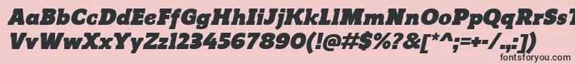 ReganslabUltraitalic Font – Black Fonts on Pink Background